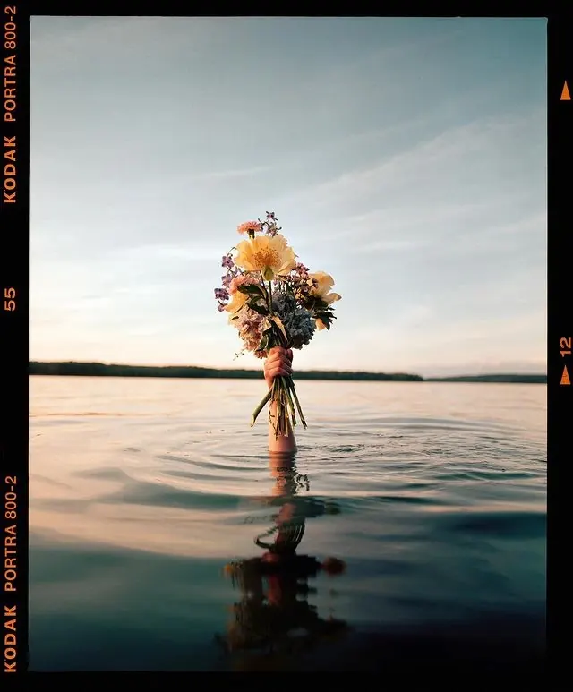 Floral Bouquet Reflection, minimal, organic, light