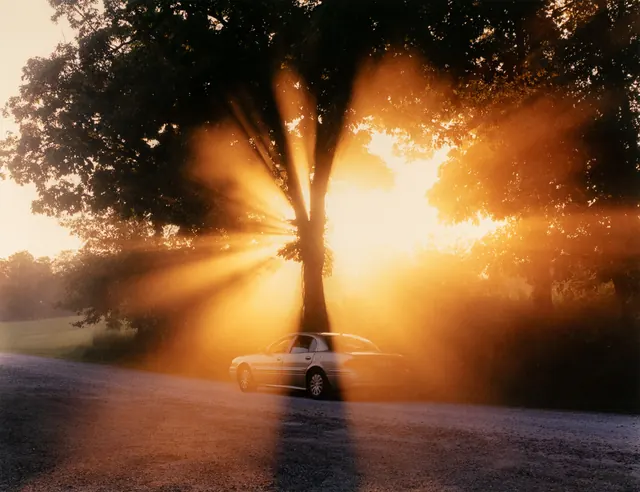 Sunlight Filtering Through Trees with Car, photographic, organic, warm