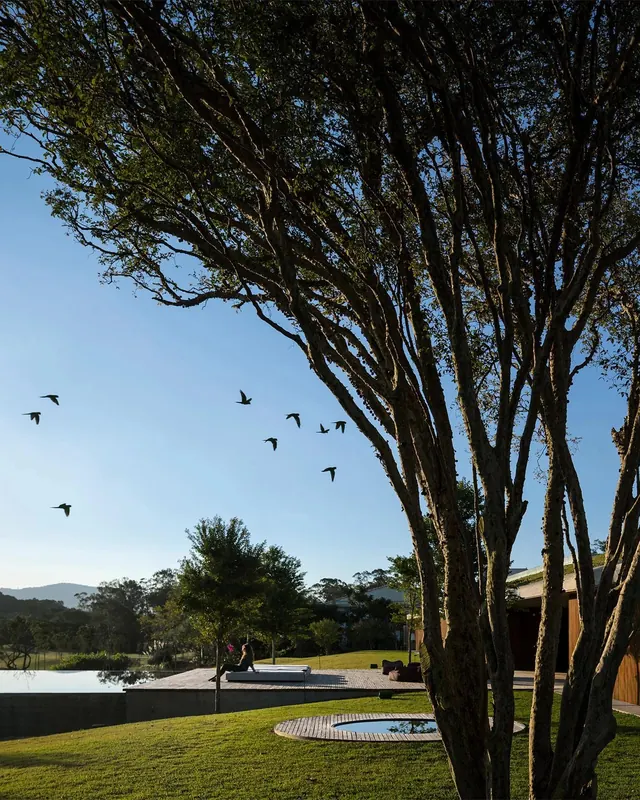 Outdoor Landscape with Trees and Birds, photographic, organic, light