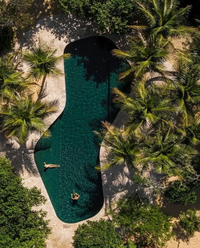 Aerial View of Tropical Swimming Pool, photographic, organic, vibrant