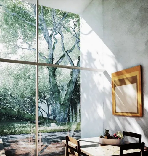 Interior Architecture with Nature View, minimal, organic, light