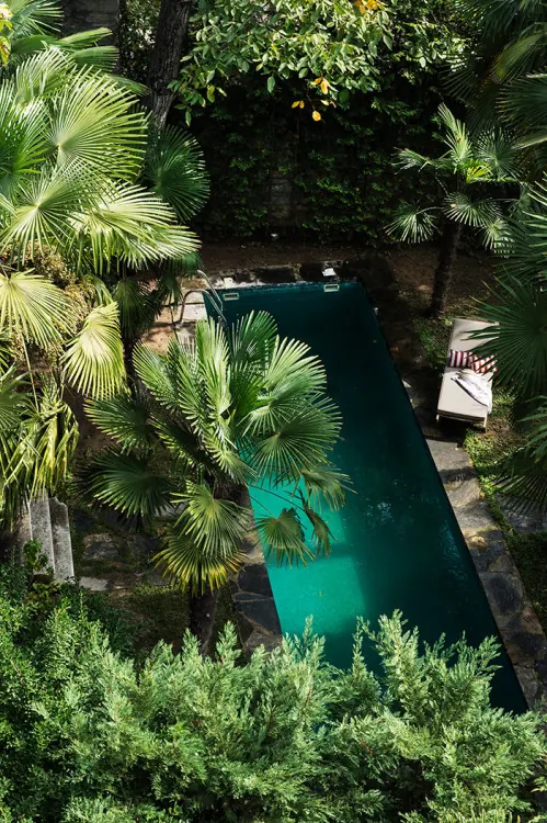 Tropical Pool Garden, photographic, organic, vibrant