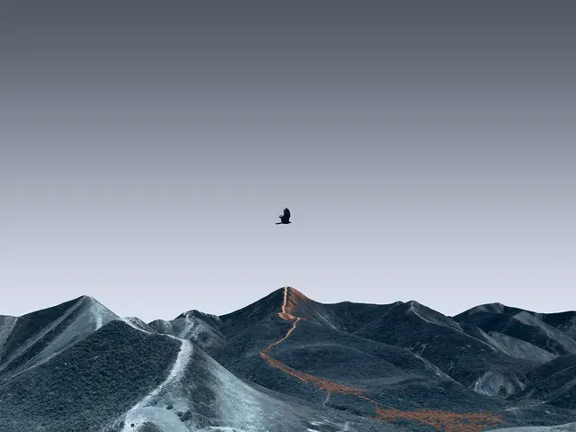 Mountain Landscape with Orange Path, minimal, geometric, monochrome