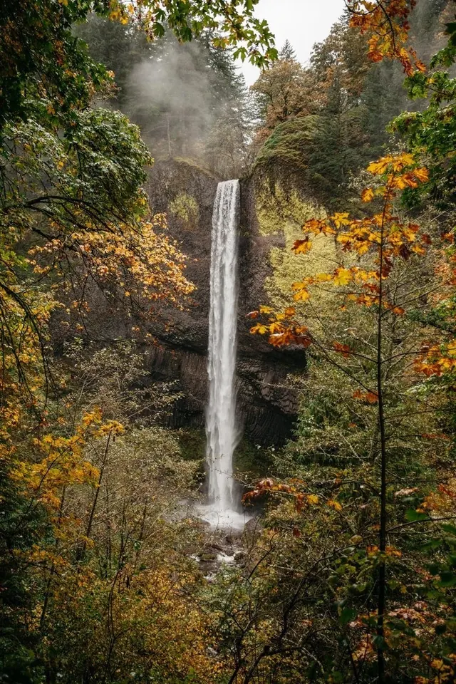 Waterfall in Autumn Forest, photographic, organic, earthy