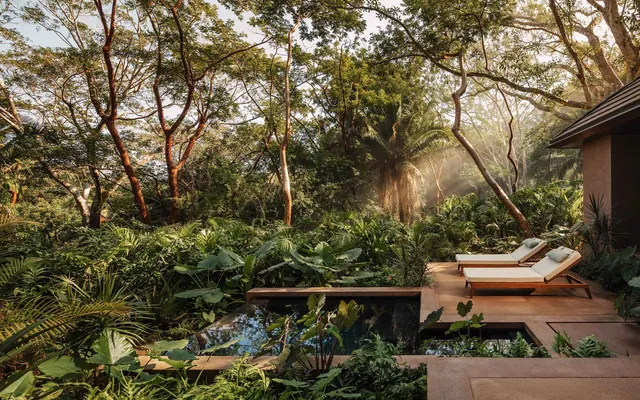 Tropical Garden Mockup, photographic, organic, earthy
