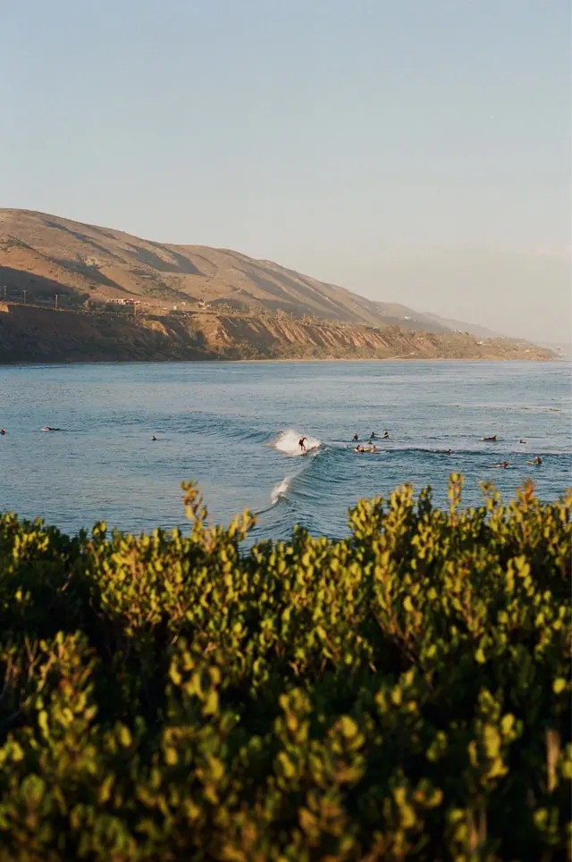 Coastal Landscape with Foreground Foliage, photographic, organic, warm
