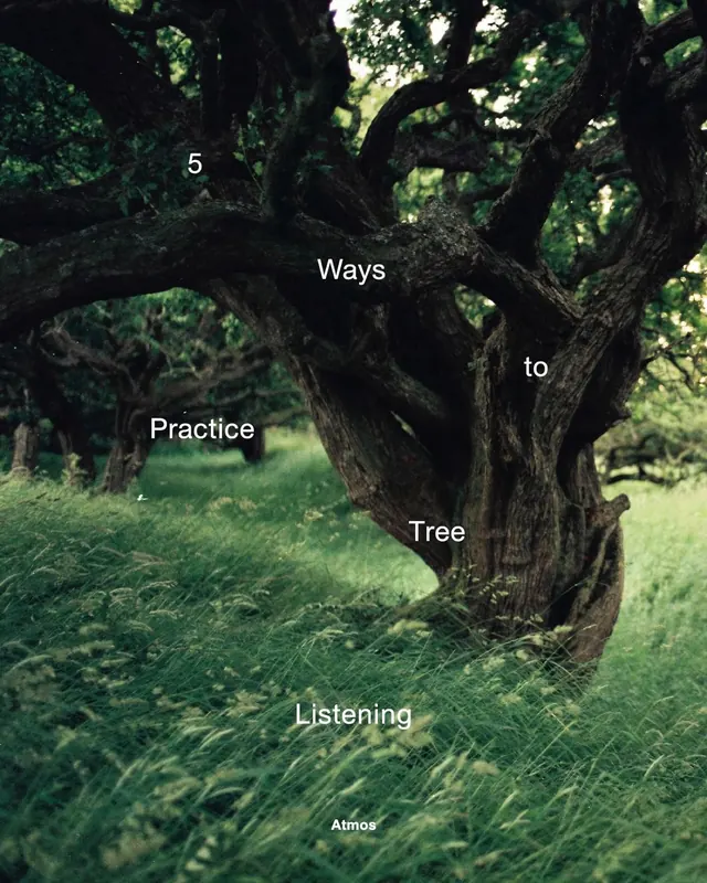 Tree Listening Typography Design, organic, photographic, dark