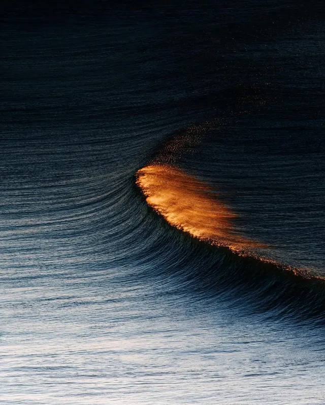 Golden Wave Reflection, organic, photographic, dark