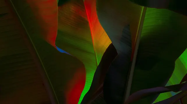 Abstract Tropical Leaf Gradient, organic, gradient-heavy, vibrant