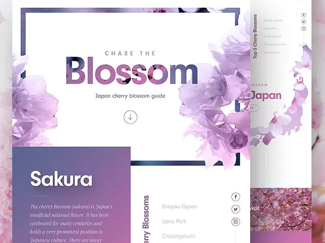 Blossom Japan Travel Guide Editorial Spread, editorial, minimal, light