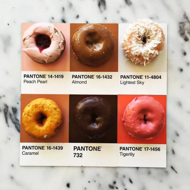 Pantone Color Swatches with Donuts, minimal, boxed, vibrant