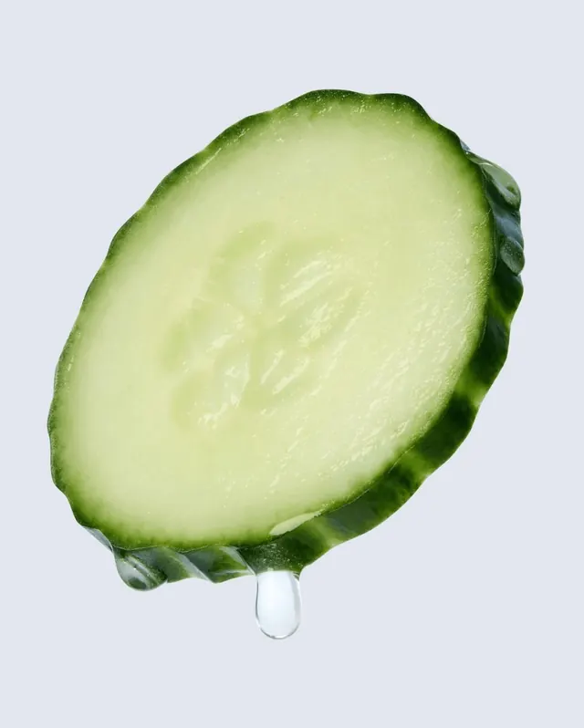 Cucumber Slice Illustration, organic, photographic, vibrant