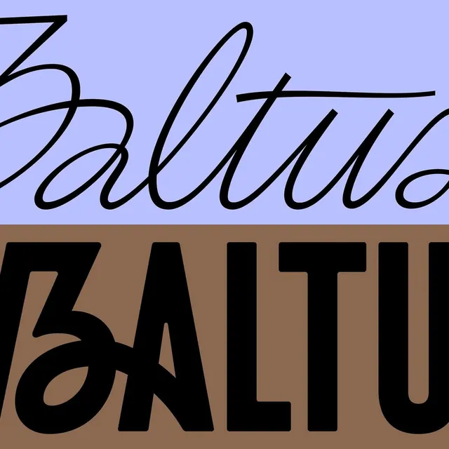 Baltus Wordmark Design, minimal, flat, vibrant