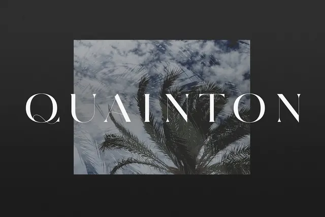 Quainton Wordmark with Palm Tree Imagery, minimal, luxury, dark