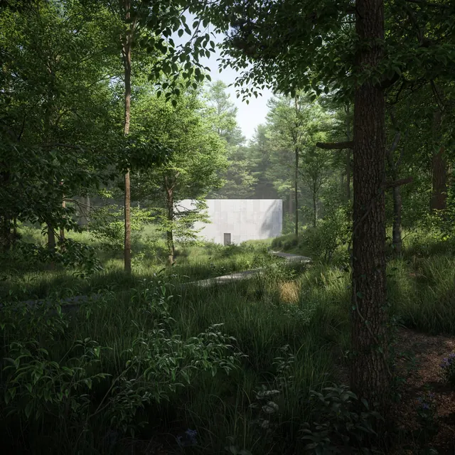 Forest Cabin Scene, photographic, organic, earthy