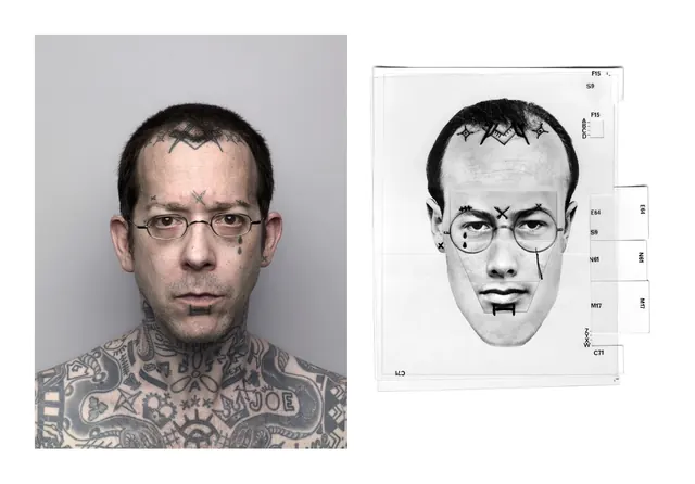 Portrait and Line Art Illustration Comparison, minimal, monochrome, monochrome