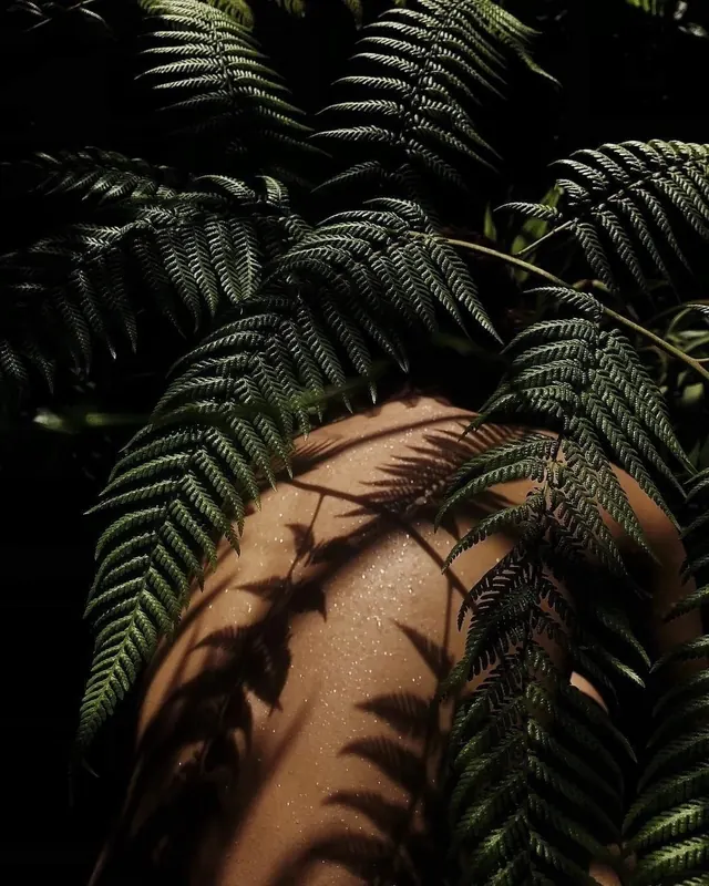 Fern Leaf and Human Skin Composition, organic, photographic, dark