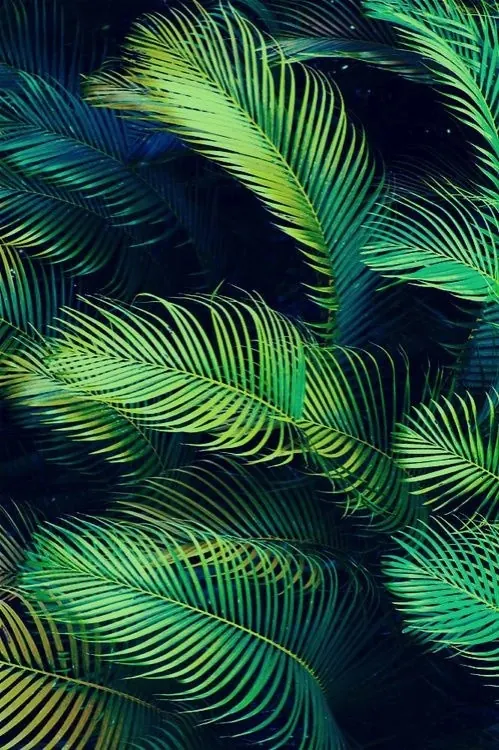 Tropical Palm Leaf Pattern, organic, maximalist, vibrant