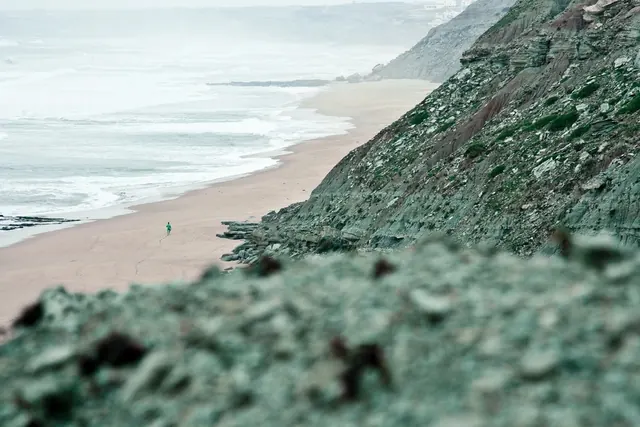 Coastal Cliff and Beach Landscape, photographic, organic, muted
