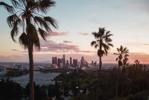 Cityscape at Sunset with Palm Trees, photographic, organic, warm