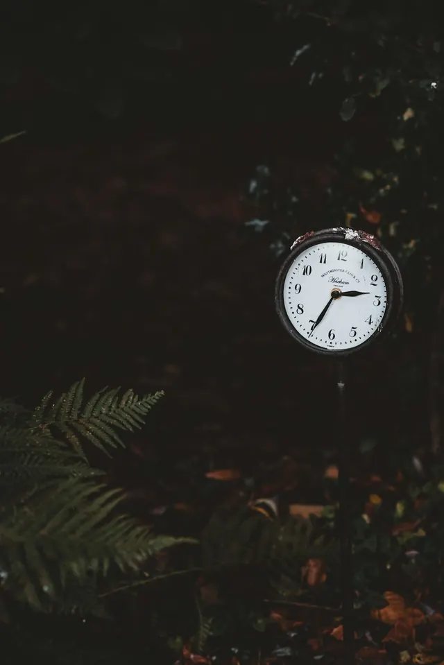 Clock Overlay on Forest Background, dark-mode, photographic, dark