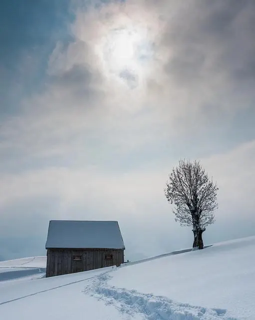 Winter Landscape with Cabin and Tree, photographic, minimal, muted