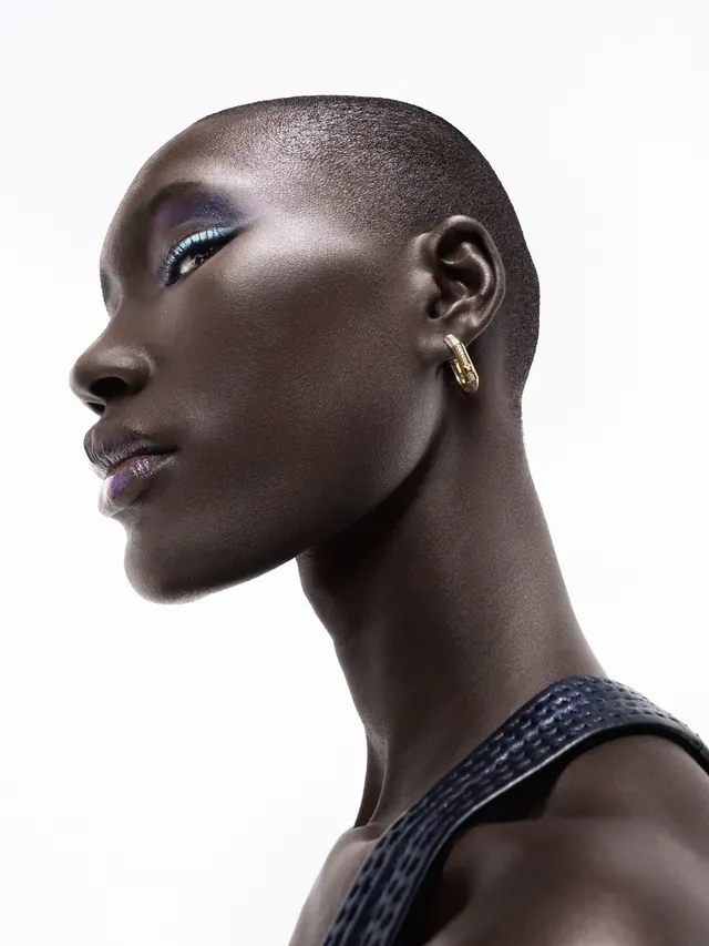High-Fashion Beauty Portrait, luxury, photographic, dark