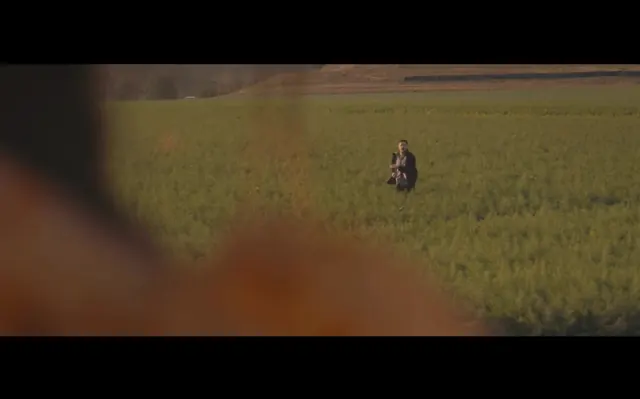 Person in a Field, photographic, organic, warm