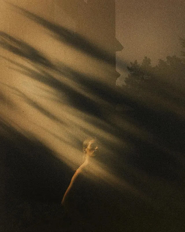 Sunlight and Shadow Abstract, organic, abstract, warm