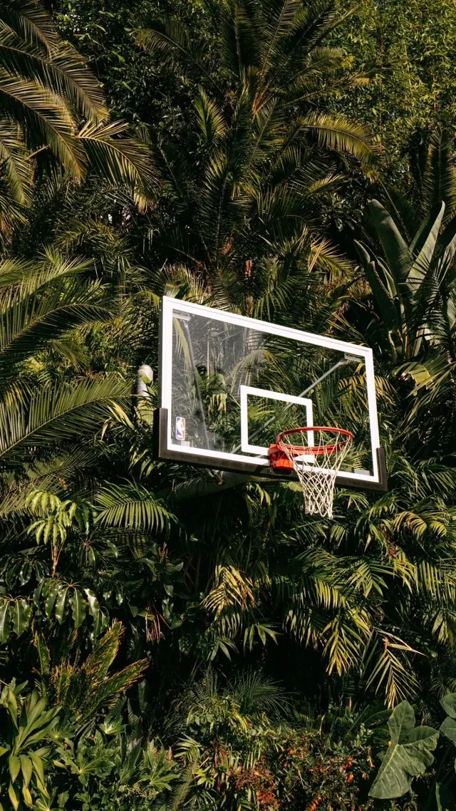 Basketball Hoop in Tropical Jungle, photographic, organic, dark