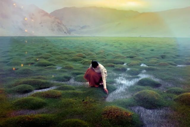 Person in a Mossy Field, photographic, organic, earthy