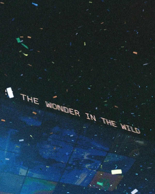 The Wonder in the Wild Typography Design, dark-mode, abstract, dark