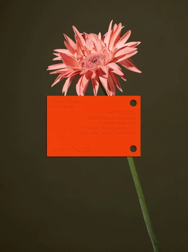 Floral Collage Graphic, minimal, organic, vibrant