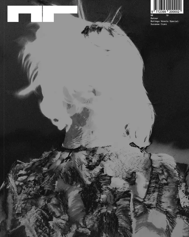High-Contrast Abstract Portrait Collage, brutalist, monochrome, monochrome