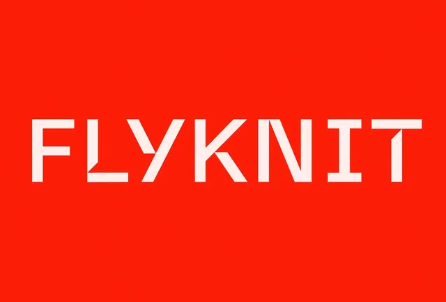 FLYKNIT Wordmark, minimal, flat, vibrant