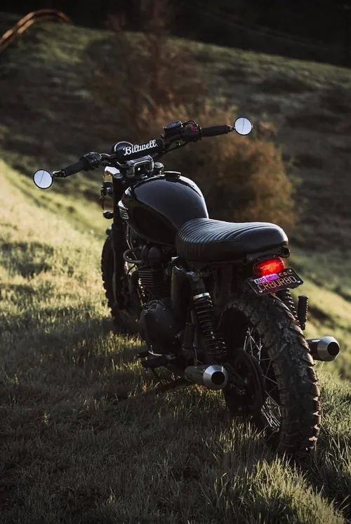 Motorcycle in Forest at Night, photographic, dark-mode, dark
