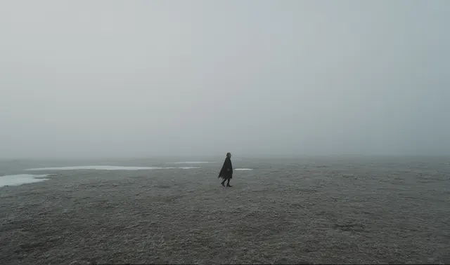 Lone Figure in Foggy Landscape, minimal, photographic, monochrome