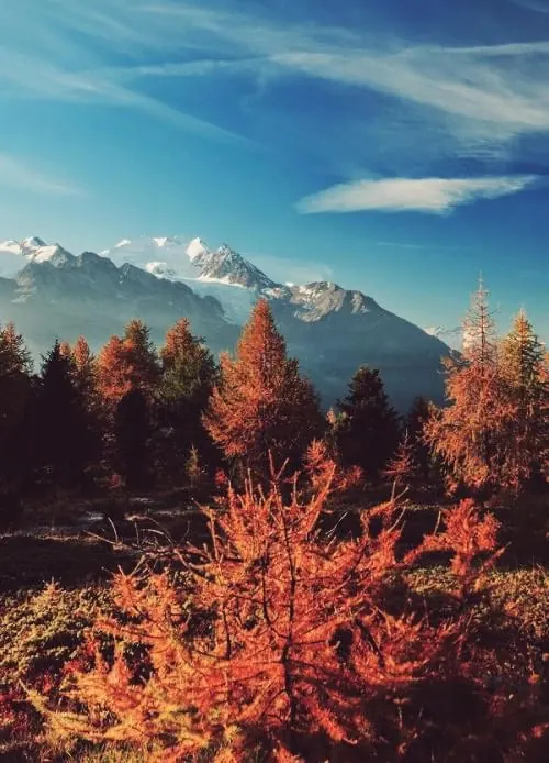 Mountain Landscape with Autumnal Trees, photographic, organic, vibrant