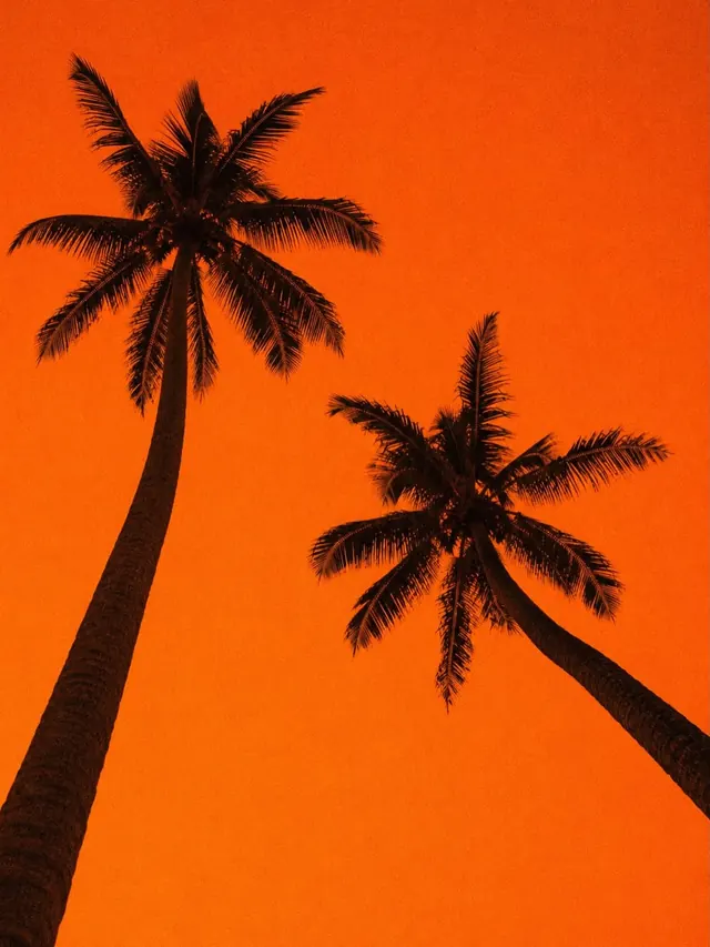 Silhouette of Palm Trees against Orange Background, minimal, flat, vibrant