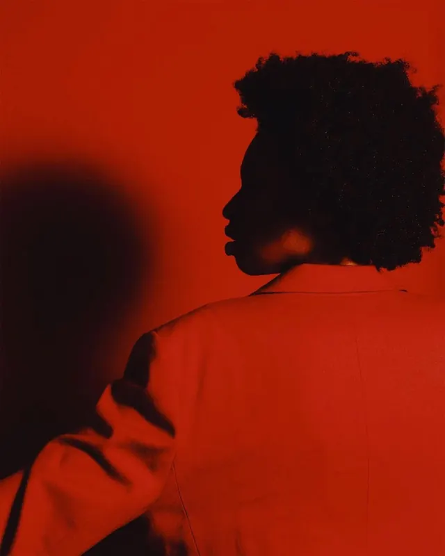 Red Silhouette Portrait, minimal, photographic, vibrant
