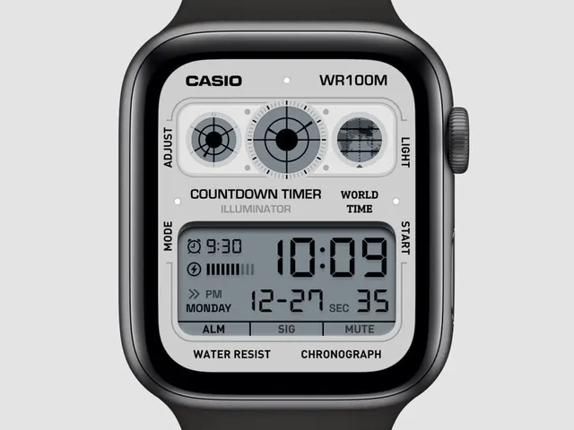 Casio WR100K Countdown Timer Watch Face, minimal, technical, dark