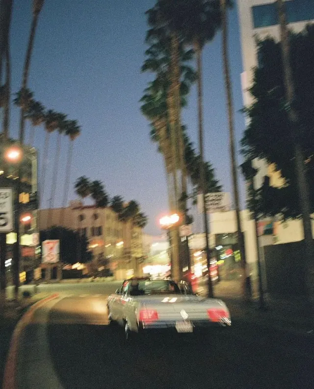 Nighttime Street Scene with Palm Trees, photographic, retro, dark