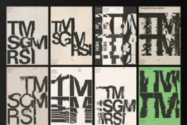 Experimental Typography Identity System, brutalist, neo-brutalist, high-contrast