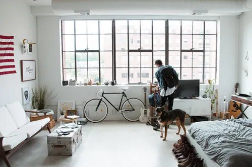 Interior Design Mockup with Bicycle and Dog, minimal, light-mode, light