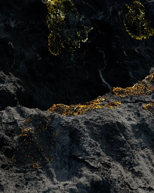 Golden Ore in Dark Rock, photographic, organic, dark
