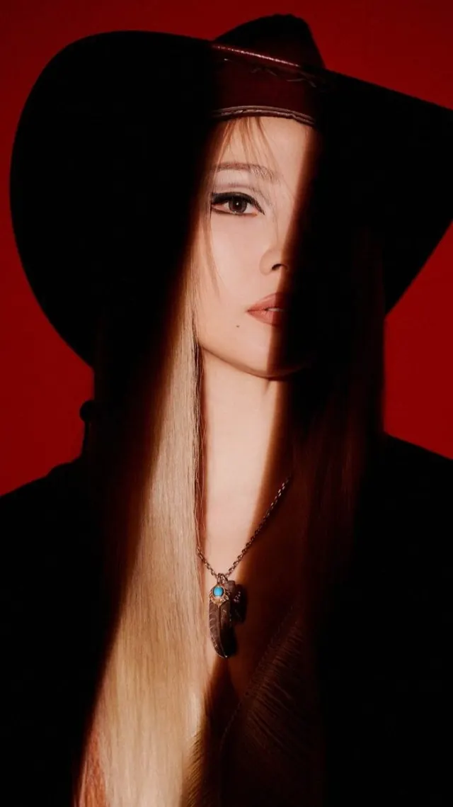 Portrait of a Woman in a Wide-Brimmed Hat, photographic, luxury, high-contrast