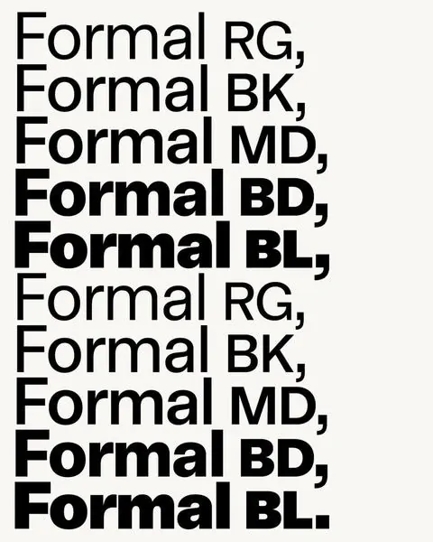 Formal Type Specimen, minimal, brutalist, monochrome