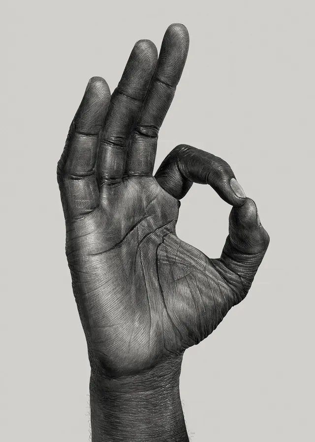 Hand Gesture Illustration, monochrome, photographic, monochrome