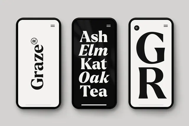 Typography and Wordmark Mockups, minimal, boxed, monochrome