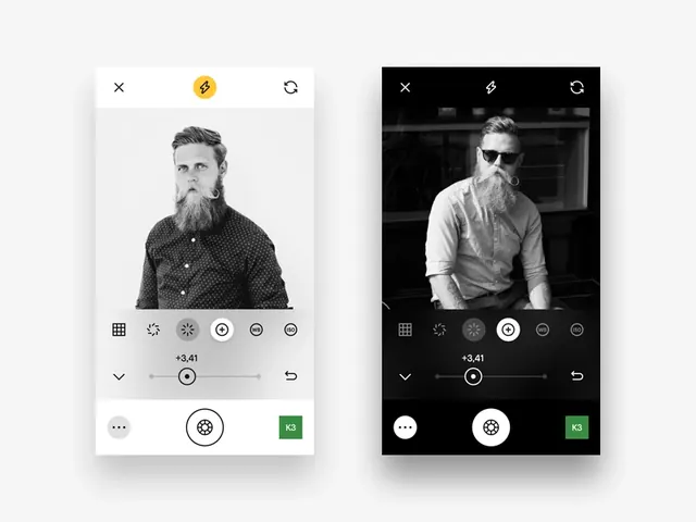 Minimalist UI and Portrait Design Reference, minimal, corporate-clean, monochrome